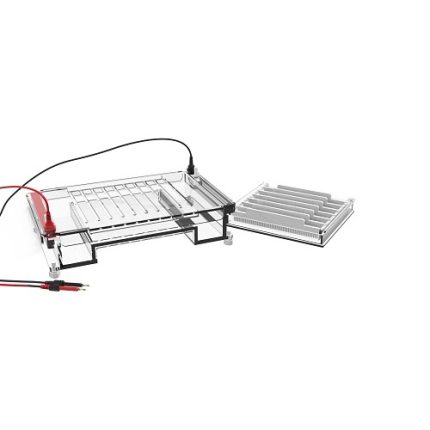 wysokowydajna cela do elektroforezy poziomej