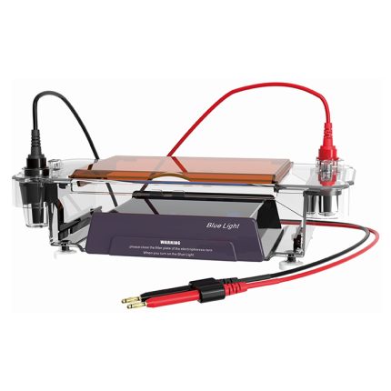 Cela do elektroforezy poziomej z oświetlaczem światła niebieskiego