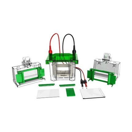 mini komórka do elektroforezy pionowej